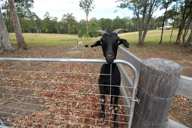 Second view of Homely land listing, LOT 11 Ashby - Tullymorgan Road, Ashby Heights NSW 2463