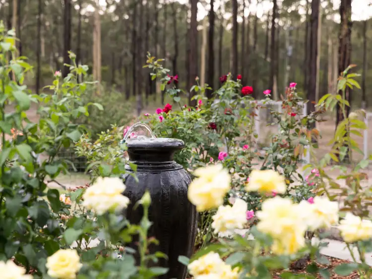 Second view of Homely rural property listing, 96 Ironbark Lane, Nulkaba NSW 2325