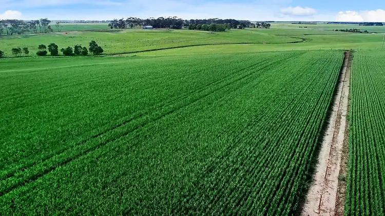 Fifth view of Homely rural property listing, 1030 Linton Road, Mount Bute VIC 3324