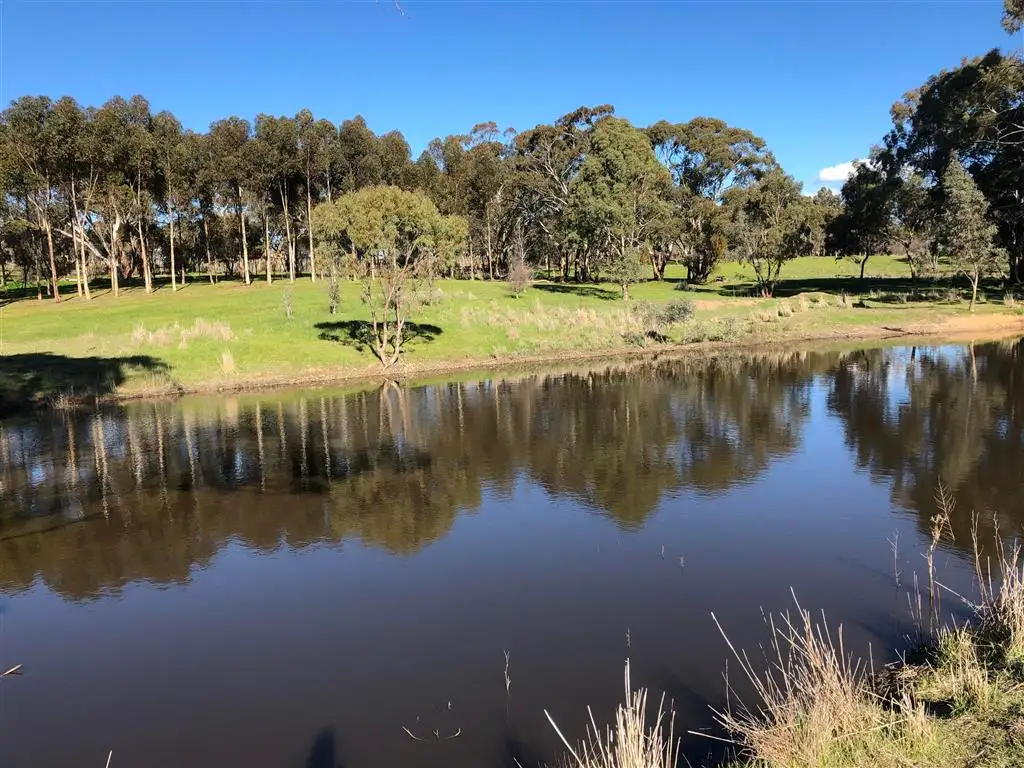 Main view of Homely house listing, 109 Scobie Road, Clare SA 5453