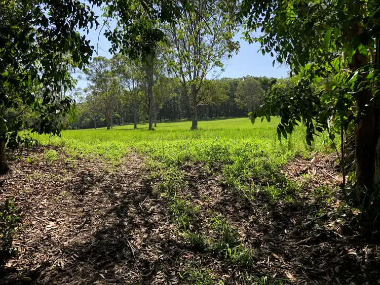 Fifth view of Homely land listing, 19 Wallace Road, Cootharaba QLD 4565