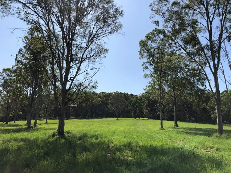 Sixth view of Homely land listing, 19 Wallace Road, Cootharaba QLD 4565