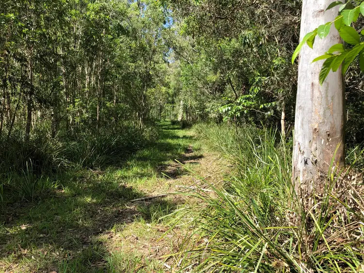 Seventh view of Homely land listing, 19 Wallace Road, Cootharaba QLD 4565