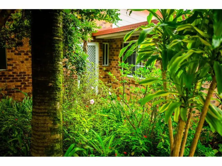 Sixth view of Homely house listing, 67 Crown Street, Bellingen NSW 2454