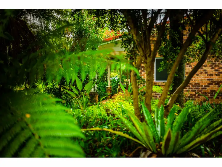 Seventh view of Homely house listing, 67 Crown Street, Bellingen NSW 2454