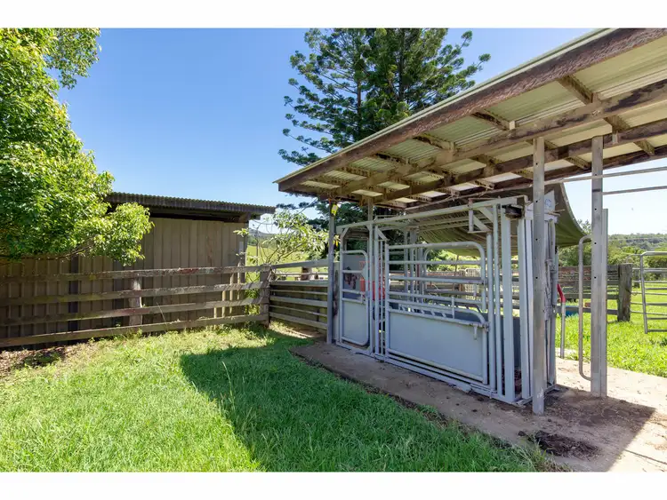 Seventh view of Homely rural property listing, 1192 Bowraville Road, Bellingen NSW 2454