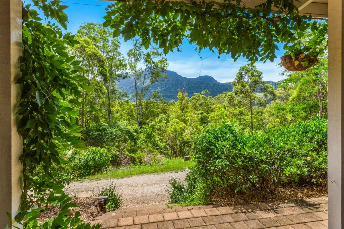 Main view of Homely rural property listing, 473 Hopkins Creek Road, Hopkins Creek NSW 2484