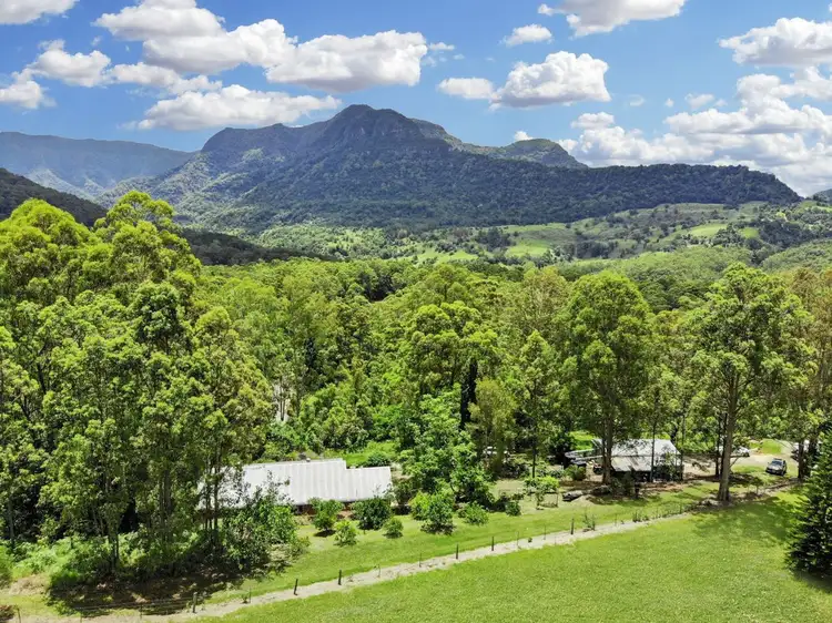 Third view of Homely rural property listing, 473 Hopkins Creek Road, Hopkins Creek NSW 2484