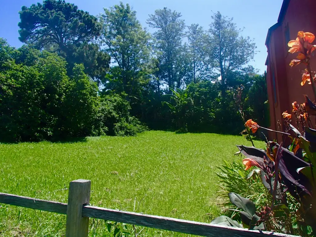 Main view of Homely land listing, 31 Church Street, Milton NSW 2538