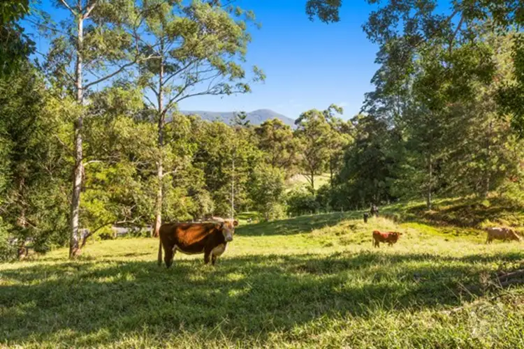 Third view of Homely rural property listing, 83 Nolans Road, Stokers Siding NSW 2484