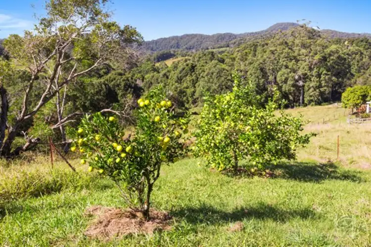 Fifth view of Homely rural property listing, 83 Nolans Road, Stokers Siding NSW 2484