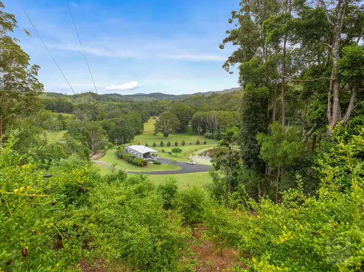 Seventh view of Homely rural property listing, 157 Tunnel Road, Stokers Siding NSW 2484