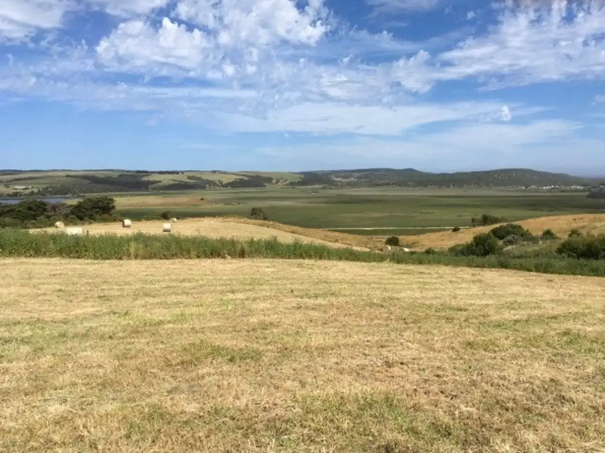 Main view of Homely land listing, Great Ocean Road, Princetown VIC 3269