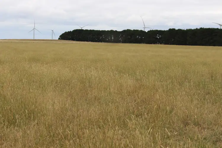 Fifth view of Homely rural property listing, 505 Ramsay Road, Irrewarra VIC 3249