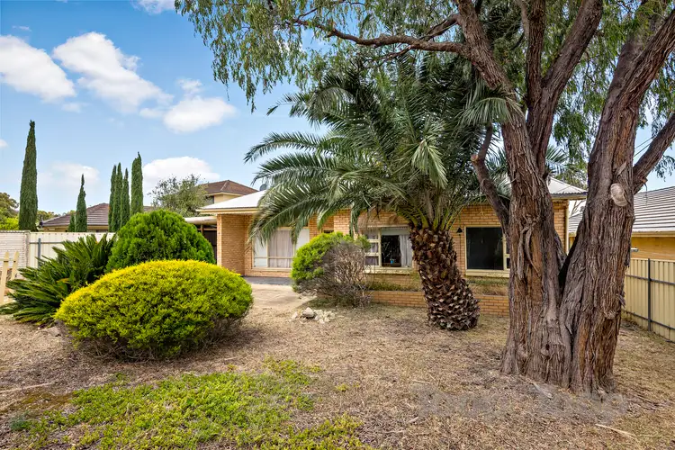 20 Rupert Avenue, Bedford Park SA 5042