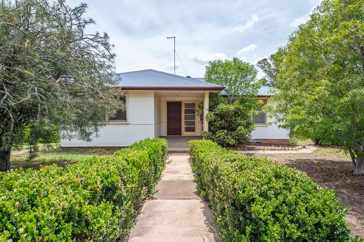 16 Manning Street, Muswellbrook NSW 2333