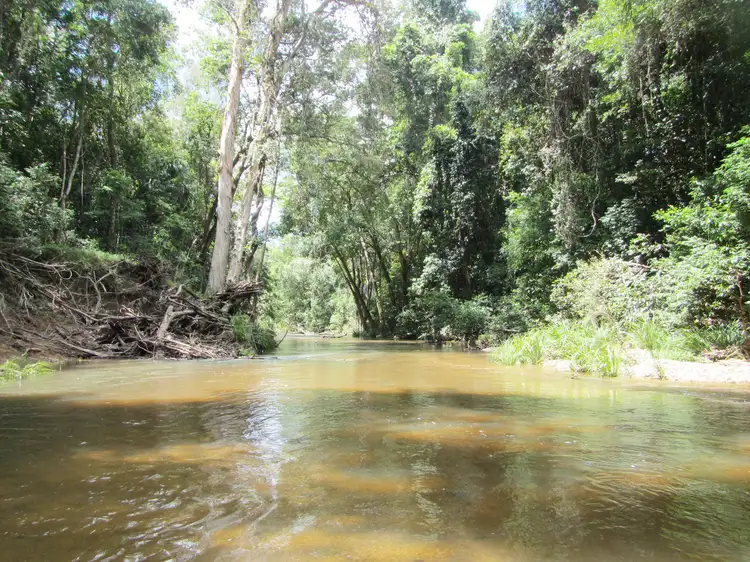 Main view of Homely rural property listing, 886 Koah Road, Koah QLD 4881