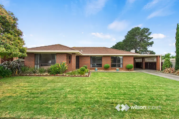 41 Swallow Grove, Traralgon VIC 3844