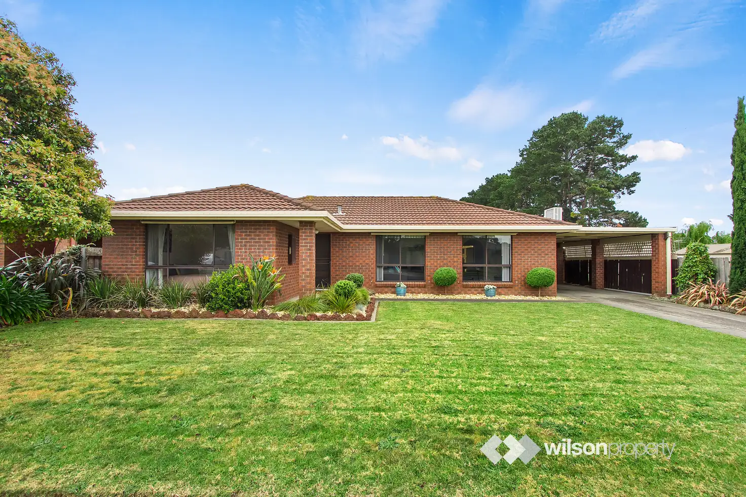 Main view of Homely house listing, 41 Swallow Grove, Traralgon VIC 3844
