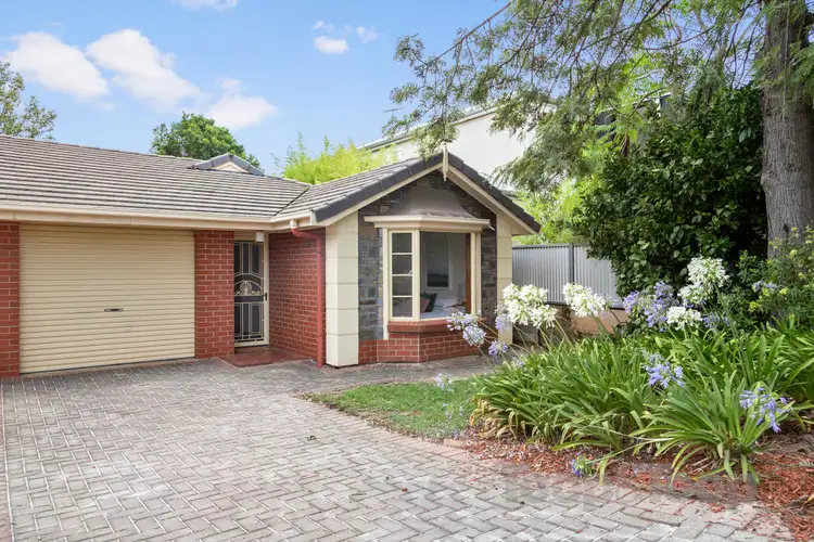 Main view of Homely house listing, 15b Leonore Avenue, Kensington Gardens SA 5068