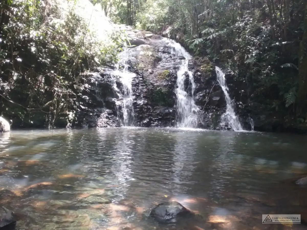 Main view of Homely rural property listing, Address available on request