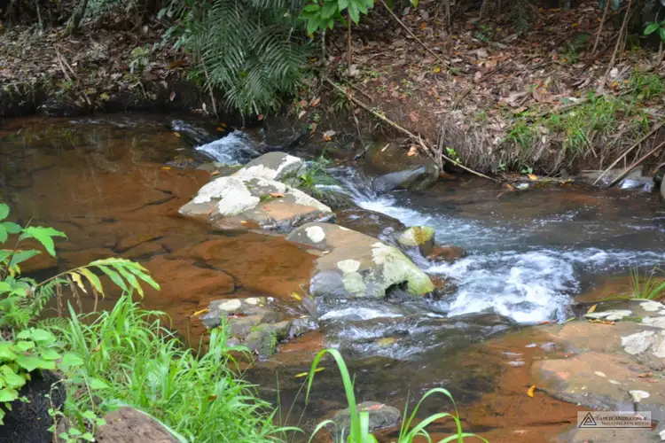 Seventh view of Homely rural property listing, Address available on request