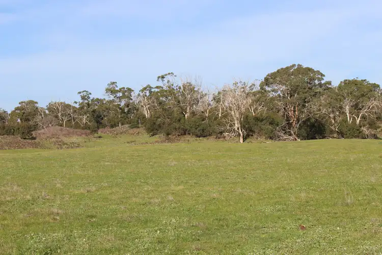 Fifth view of Homely rural property listing, Cobden-Stonyford Road, Stonyford VIC 3260