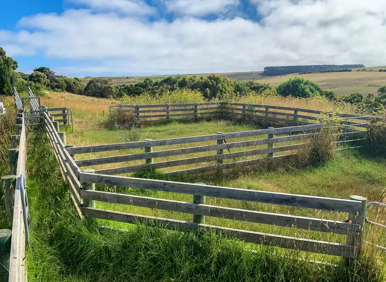 Sixth view of Homely rural property listing, 2469 Cobden - Port Campbell Road, Port Campbell VIC 3269