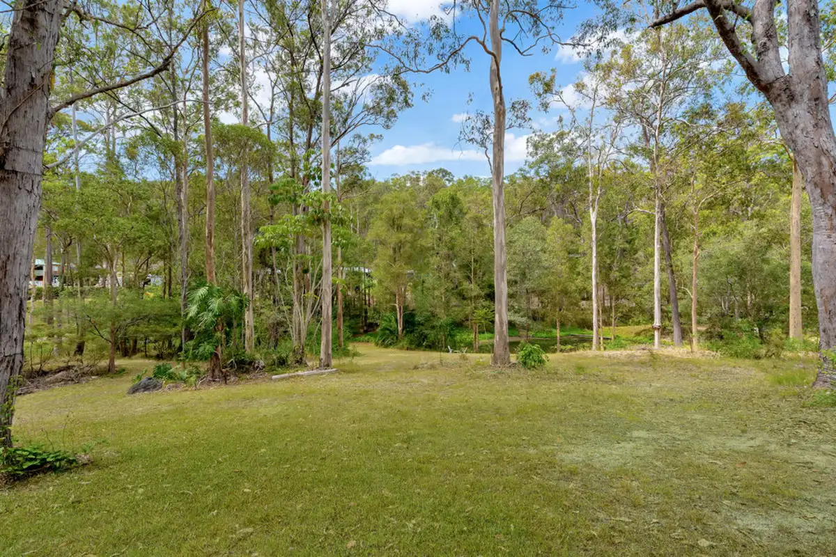 Main view of Homely house listing, 29 Pademelon Pass, Nerang QLD 4211