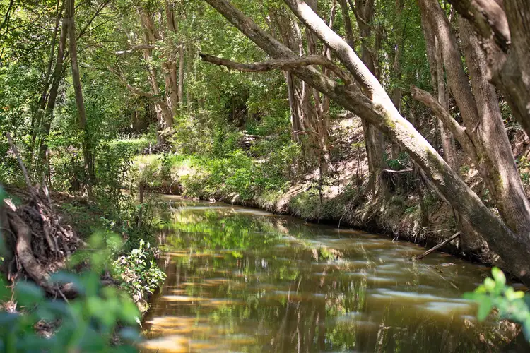 Fourth view of Homely house listing, 33 Middle Creek Road, Federal QLD 4568