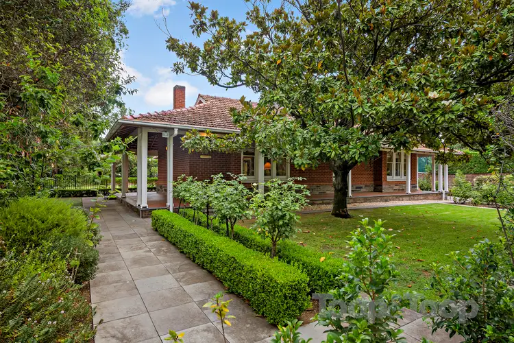 3 Avenue Street, Millswood SA 5034