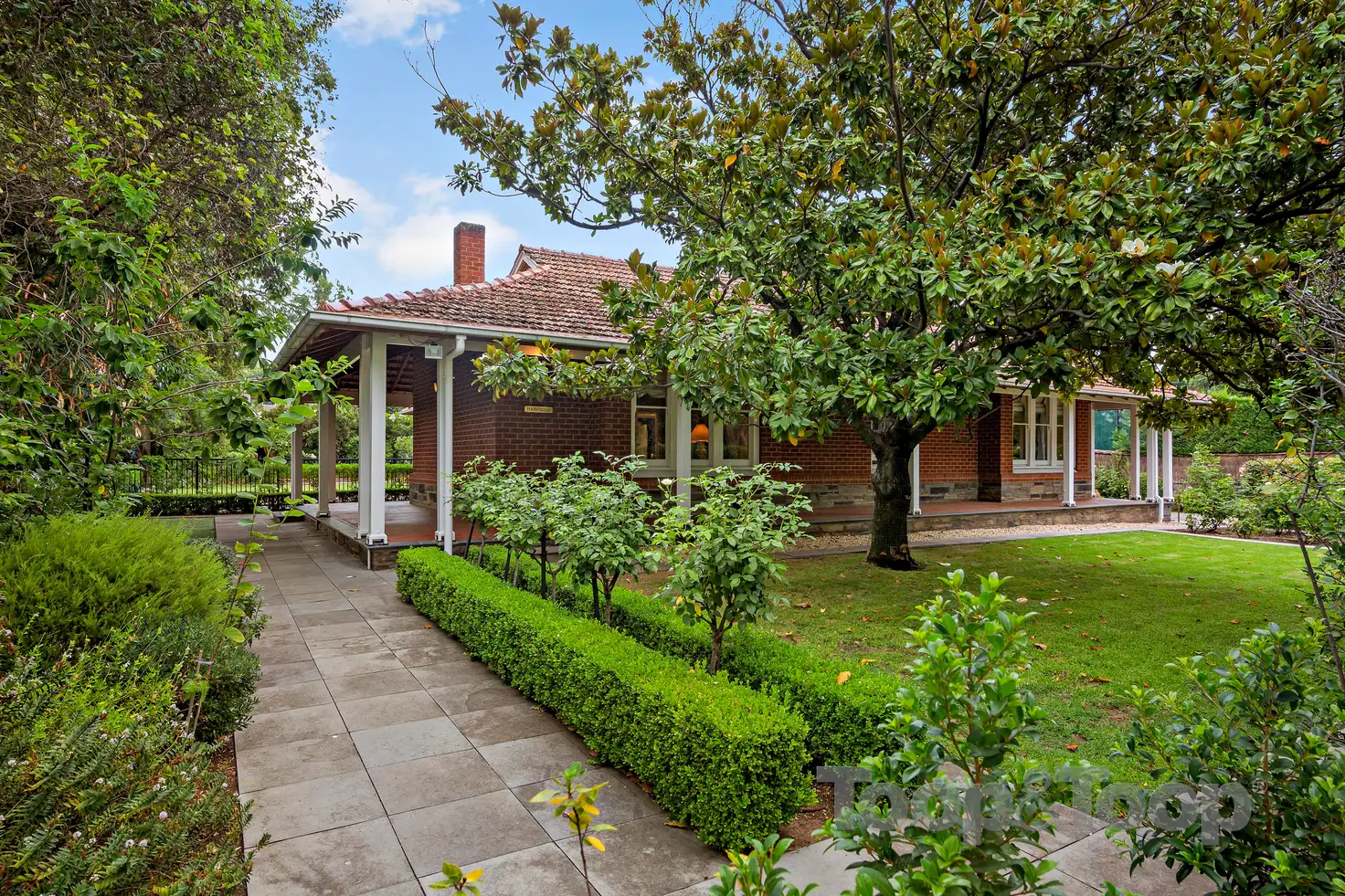 Main view of Homely house listing, 3 Avenue Street, Millswood SA 5034