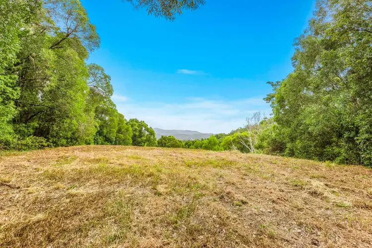 Fourth view of Homely rural property listing, 166 Crooks Valley Road, Crystal Creek NSW 2484
