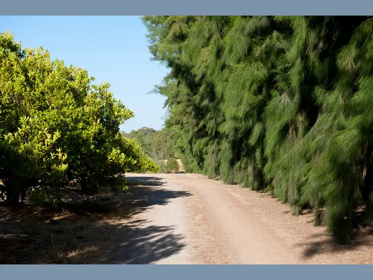 Sixth view of Homely rural property listing, 779 Great Northern Highway, Herne Hill WA 6056