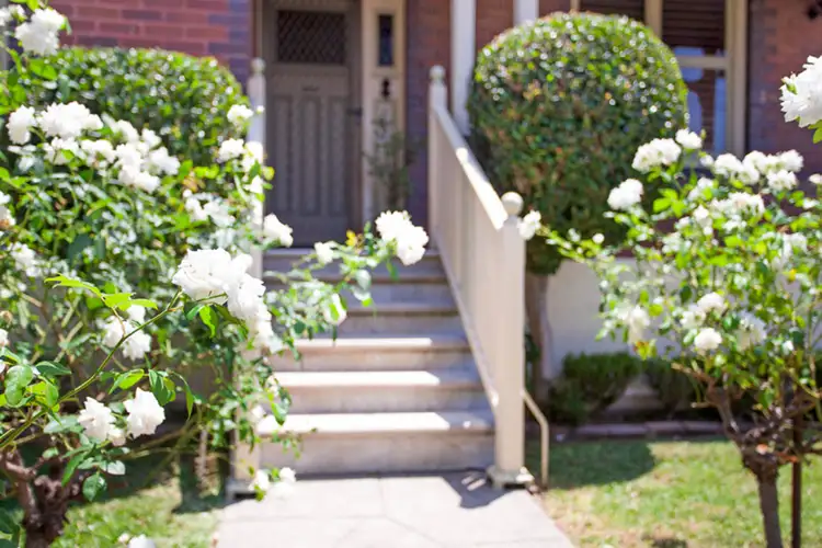 Second view of Homely house listing, 36 Wetherill Street, Croydon NSW 2132