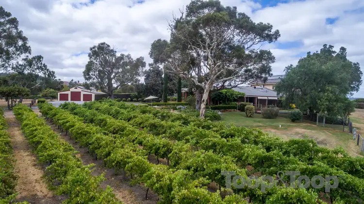 Fifth view of Homely house listing, 22 White Road, Kangarilla SA 5157