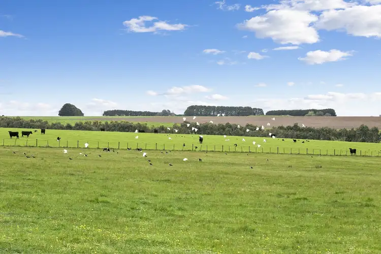 Fourth view of Homely rural property listing, 975 Birregurra - Deans Marsh Road, Birregurra VIC 3242