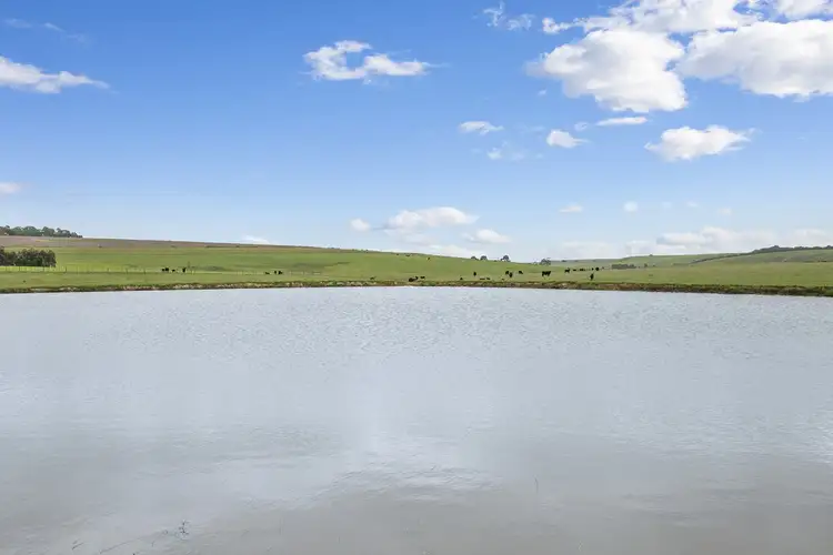 Fifth view of Homely rural property listing, 975 Birregurra - Deans Marsh Road, Birregurra VIC 3242