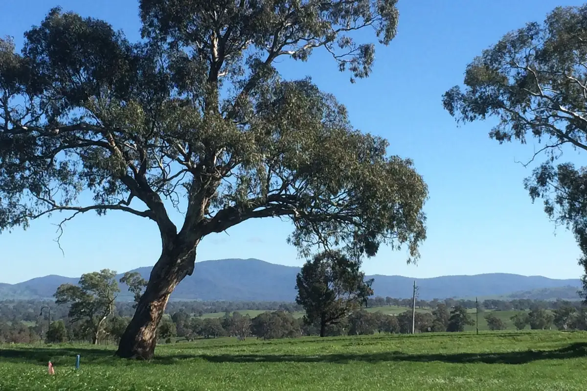 Main view of Homely land listing, LOT 3 Highlands Road, Mansfield VIC 3722