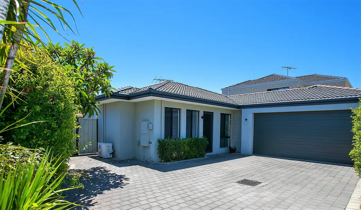 Main view of Homely semi-detached listing, 19A Merston Street, Nollamara WA 6061