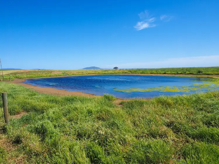 Third view of Homely rural property listing, 'Chillamurra' 1301 Tod Highway, Wanilla SA 5607