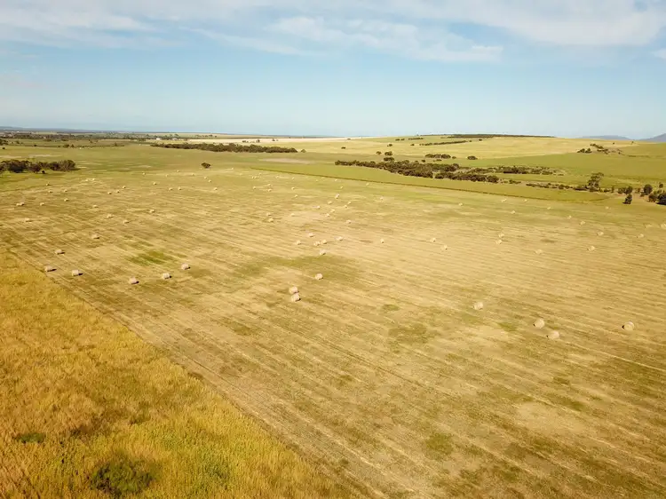 Fourth view of Homely rural property listing, 'Chillamurra' 1301 Tod Highway, Wanilla SA 5607