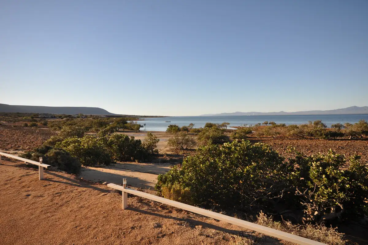 Main view of Homely house listing, 1 Brealley Court, Blanche Harbor SA 5700