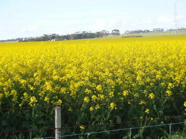 3335 Foxhow-Berrybank Road, Berrybank VIC 3323