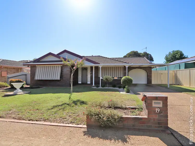 19 Adjin Street, Mount Austin NSW 2650