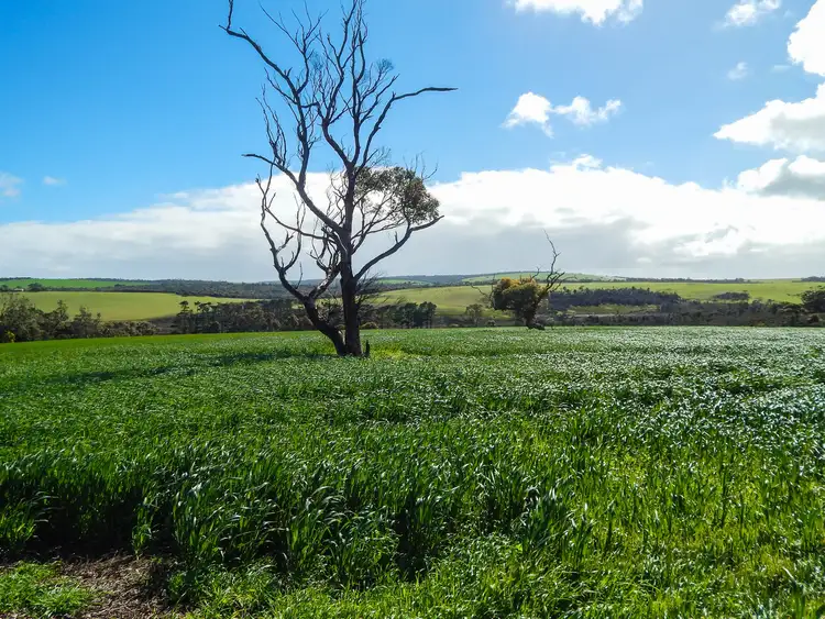 Second view of Homely rural property listing, LOT 92 Proude Gully Road, Charlton Gully SA 5607