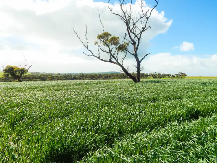 Third view of Homely rural property listing, LOT 92 Proude Gully Road, Charlton Gully SA 5607