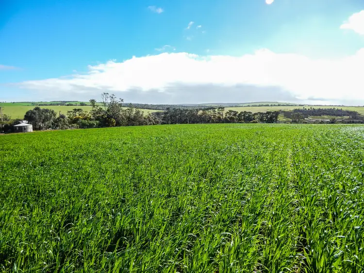 Fourth view of Homely rural property listing, LOT 92 Proude Gully Road, Charlton Gully SA 5607