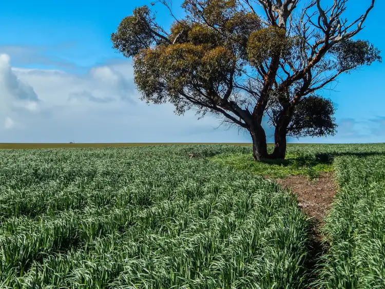 Fifth view of Homely rural property listing, LOT 92 Proude Gully Road, Charlton Gully SA 5607