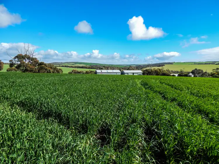 Sixth view of Homely rural property listing, LOT 92 Proude Gully Road, Charlton Gully SA 5607
